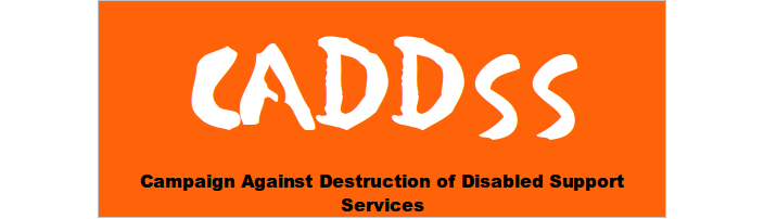 CADDSS logo